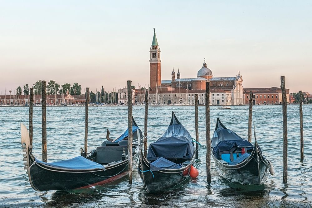 Italy-Venice Gondolas on the waterfront with San Giorgio Maggiore Church in the background